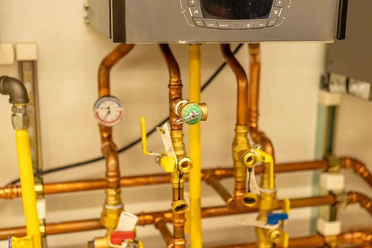 Licensed technician providing Emergency Plumbing for a homeowner in Hales Corners